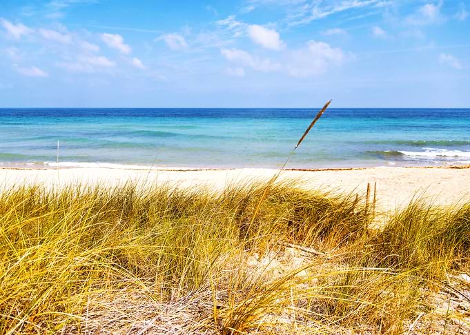 Beach in Salento