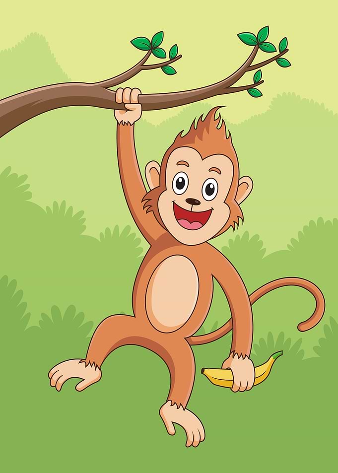 Cute Monkey