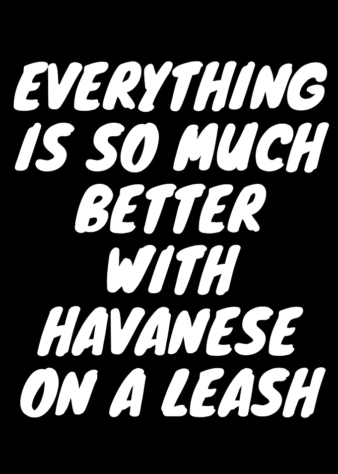 HAVANESE LEASH QUOTE LOVE