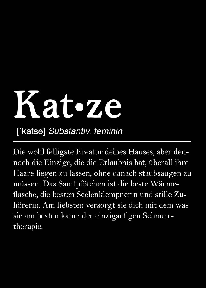Katze
