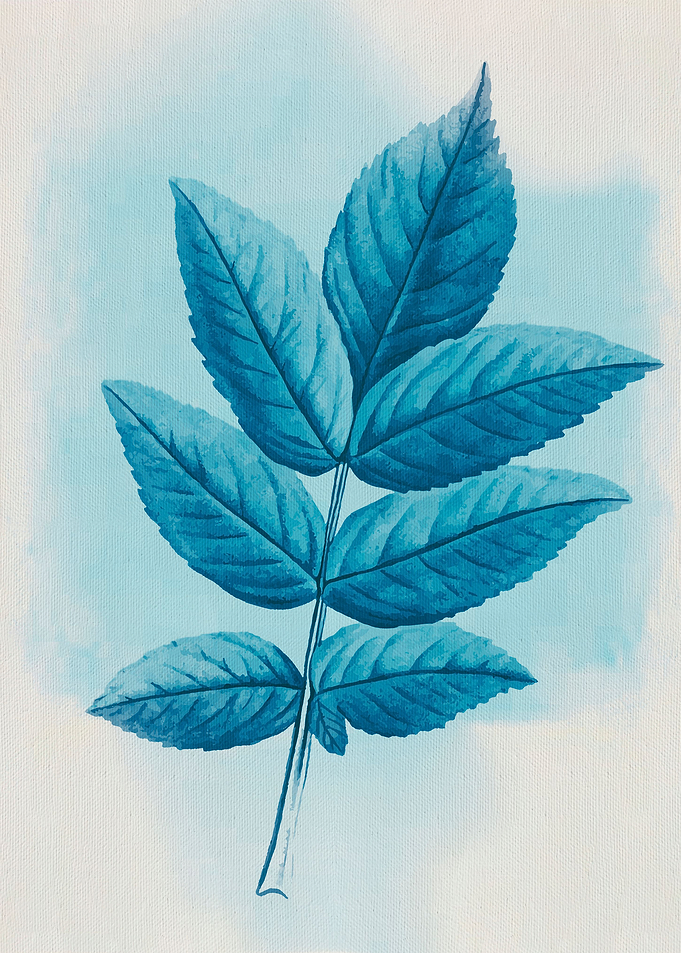 Leaves 04b