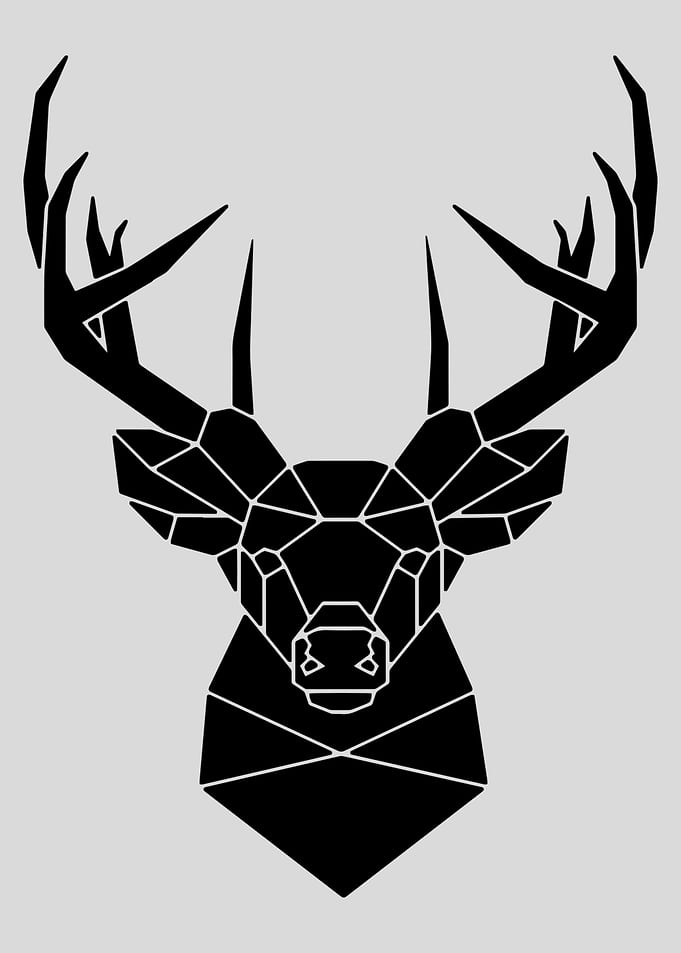 Deer Animal low polygon