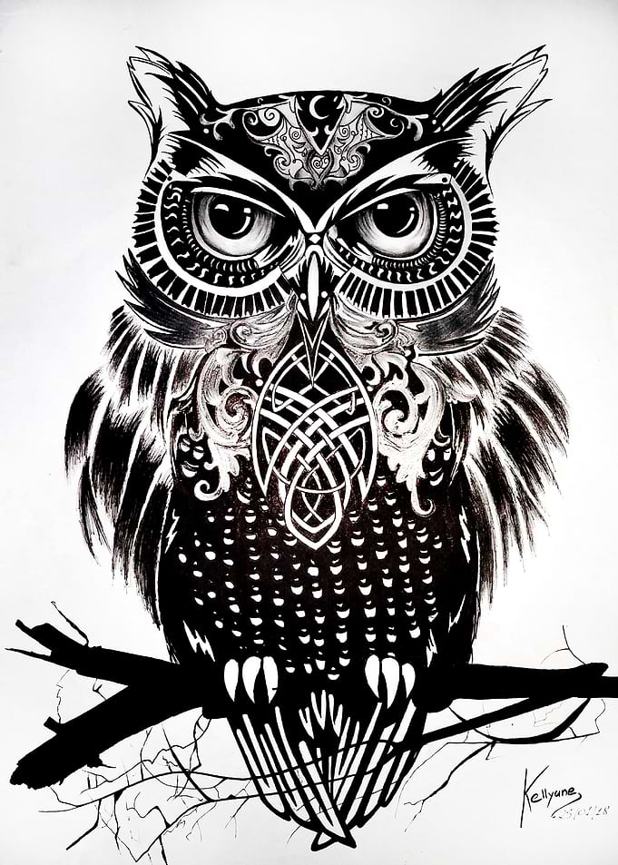 The Owl