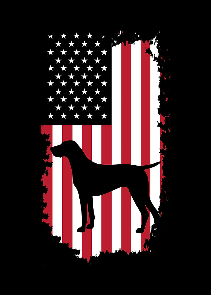 German Shorthair Pointer