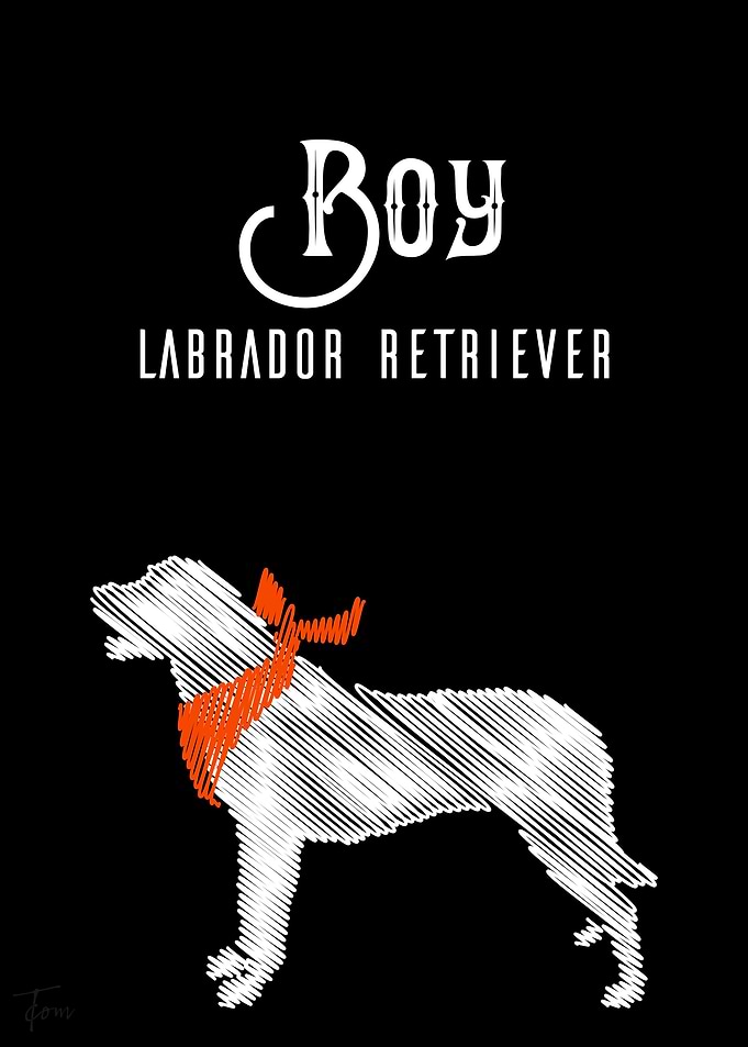 Boy