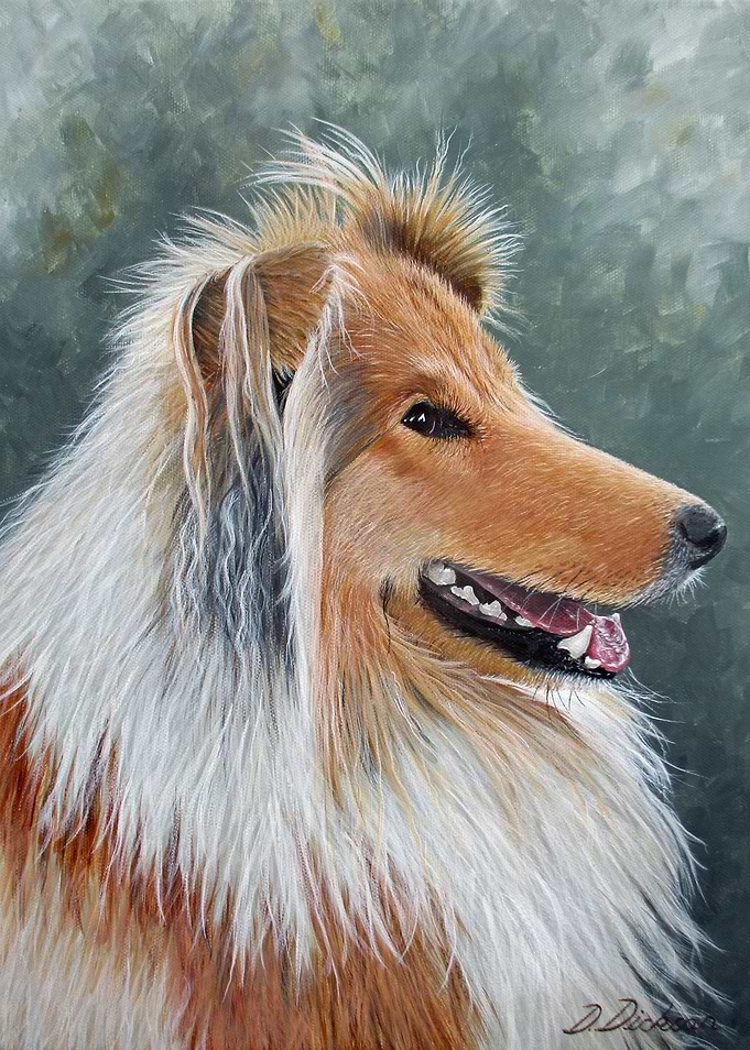 Jamie Scotch collie