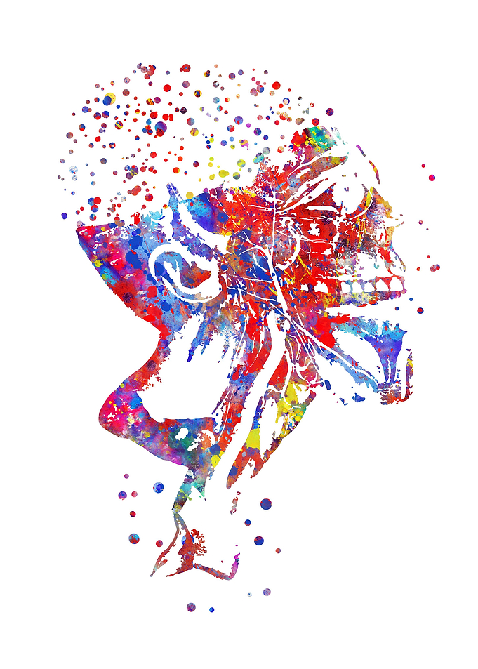 Skull