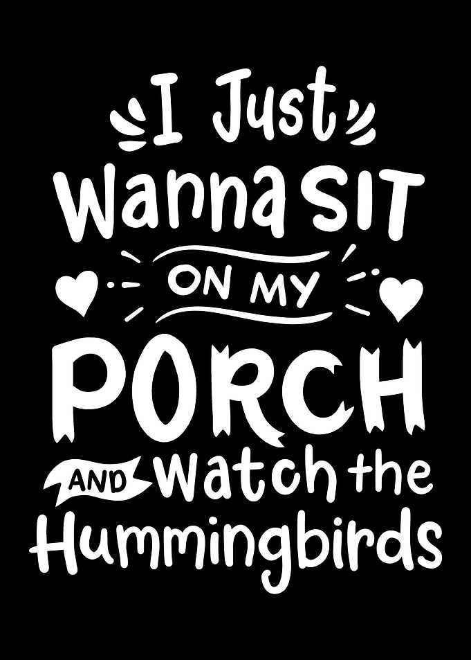 Hummingbird Birdwatching B