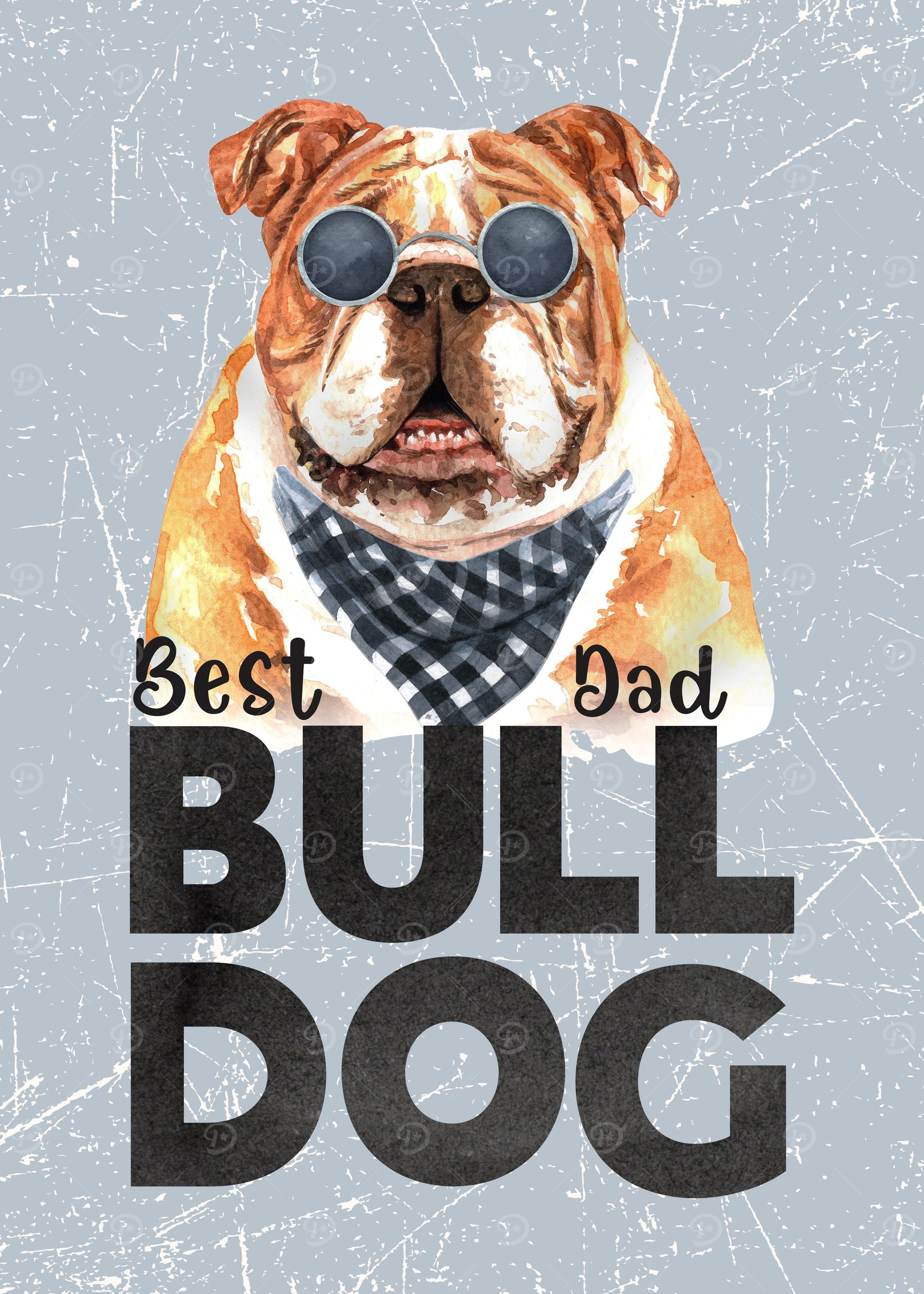 Funny Bull Dog