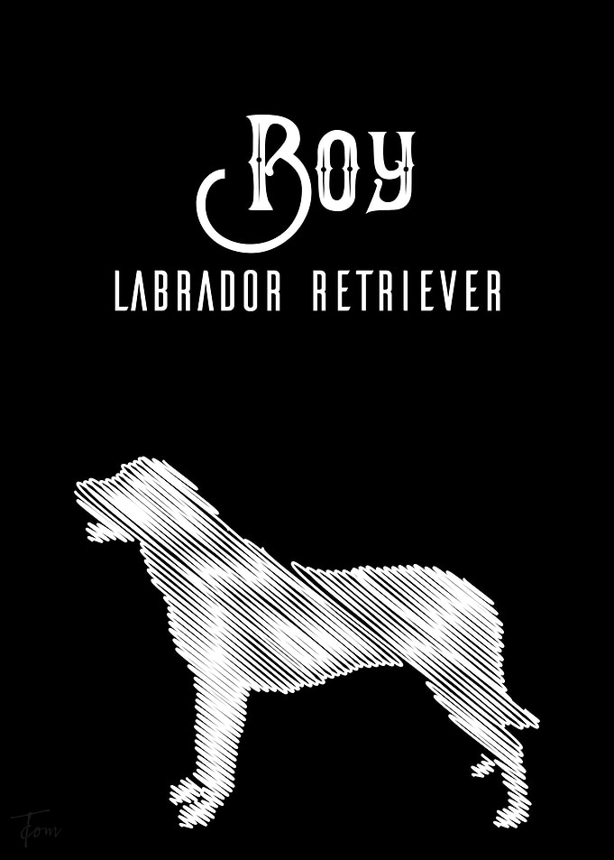 Boy