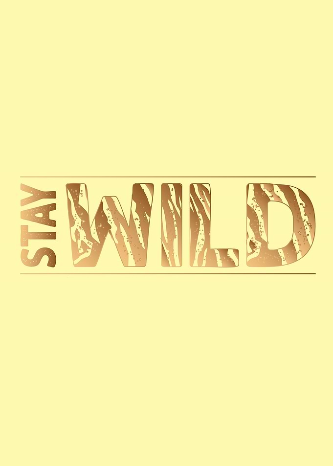 Stay Wild 2
