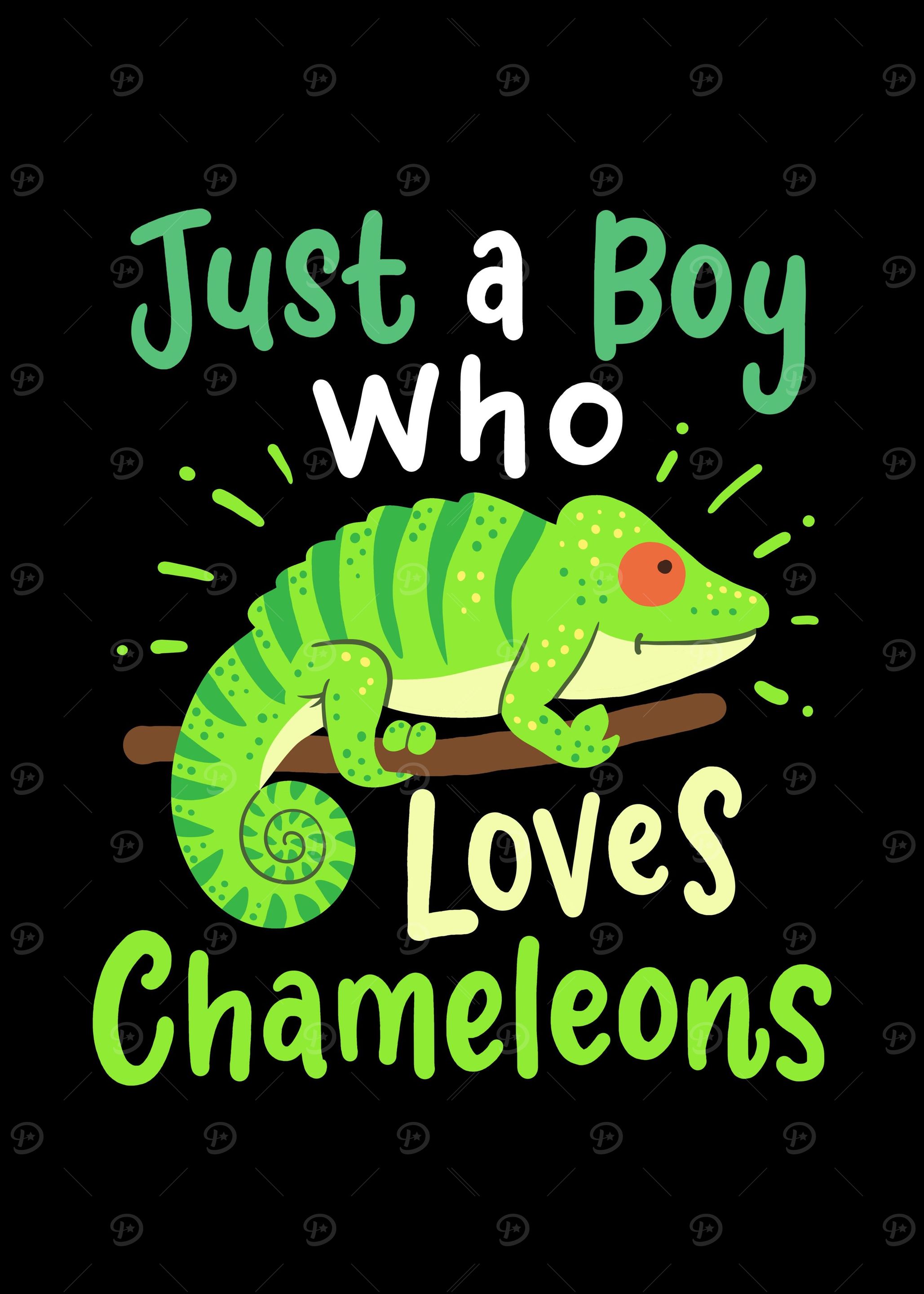 Chameleon Lizard Reptile C