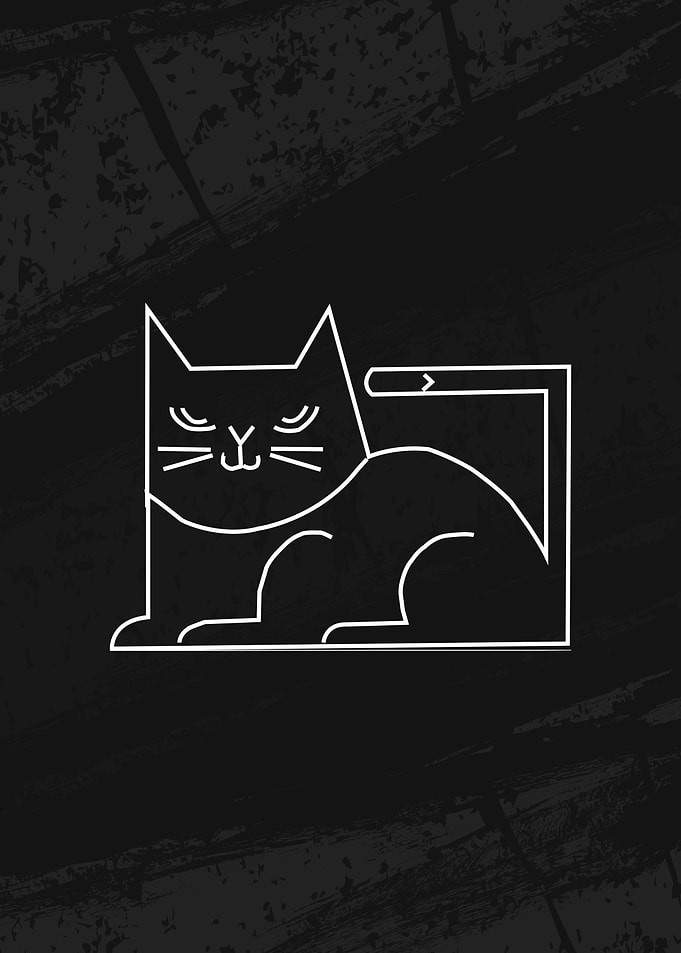 The Cat