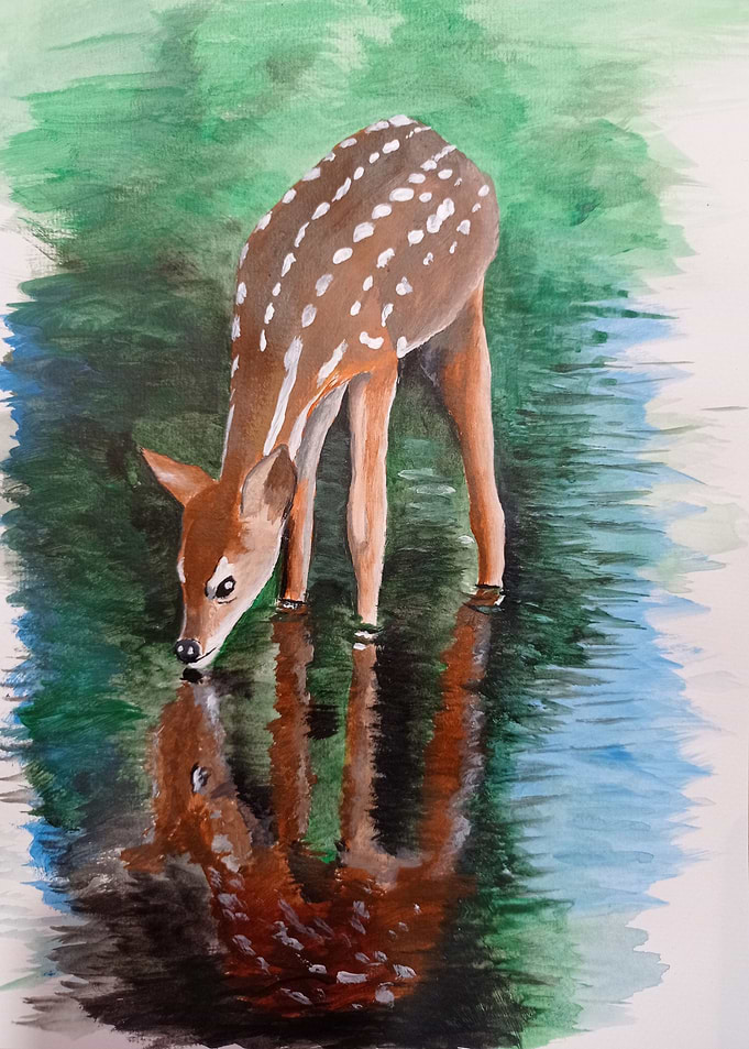 roe deer