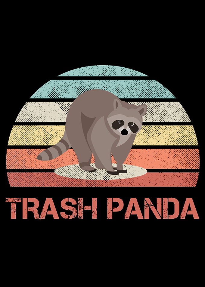 Trash Panda Racoon Raccoon