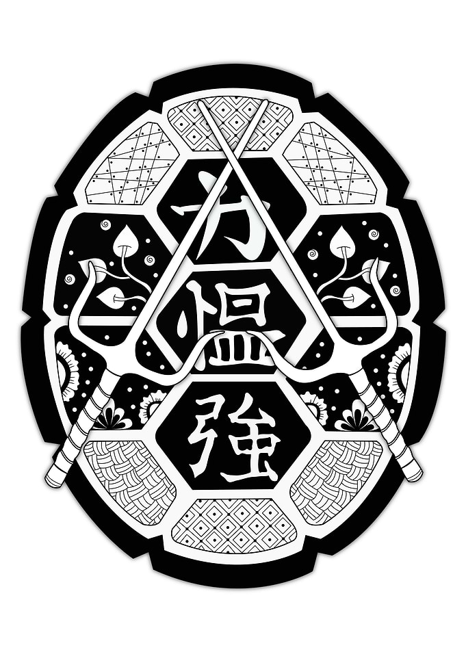 The Turtle Mandala Shield