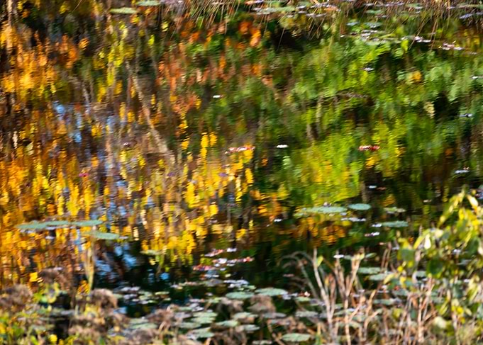 Reflecting Fall Colors