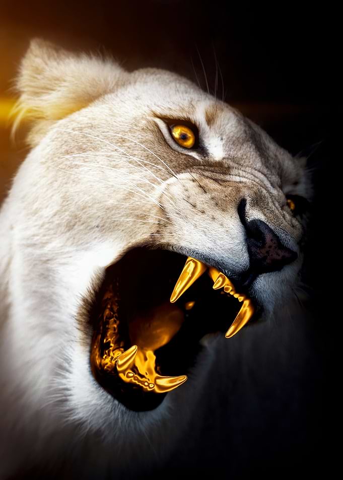 lioness Queen of Gold art