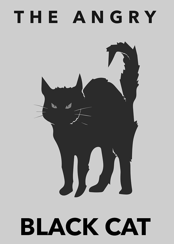 The angry black Cat