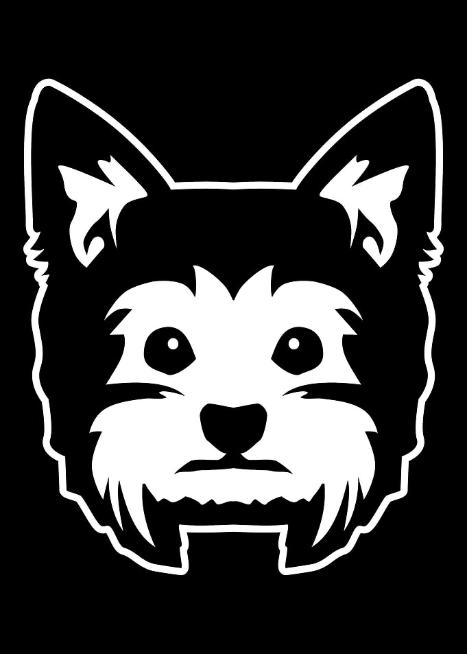 Yorkie