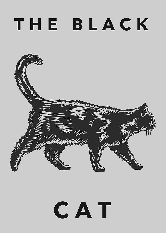 The black Cat Animal