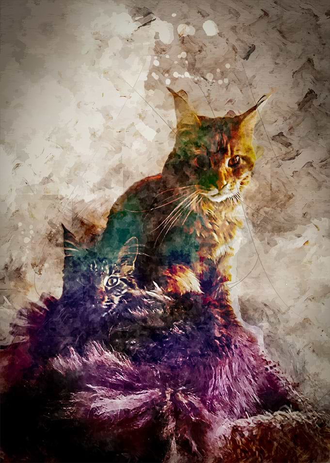 Cats Grey and Yellow