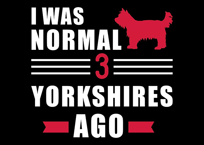 Yorkie