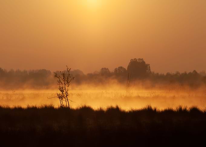 Morning on the riverbank