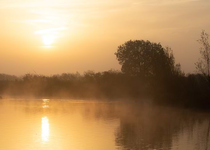 Misty morning