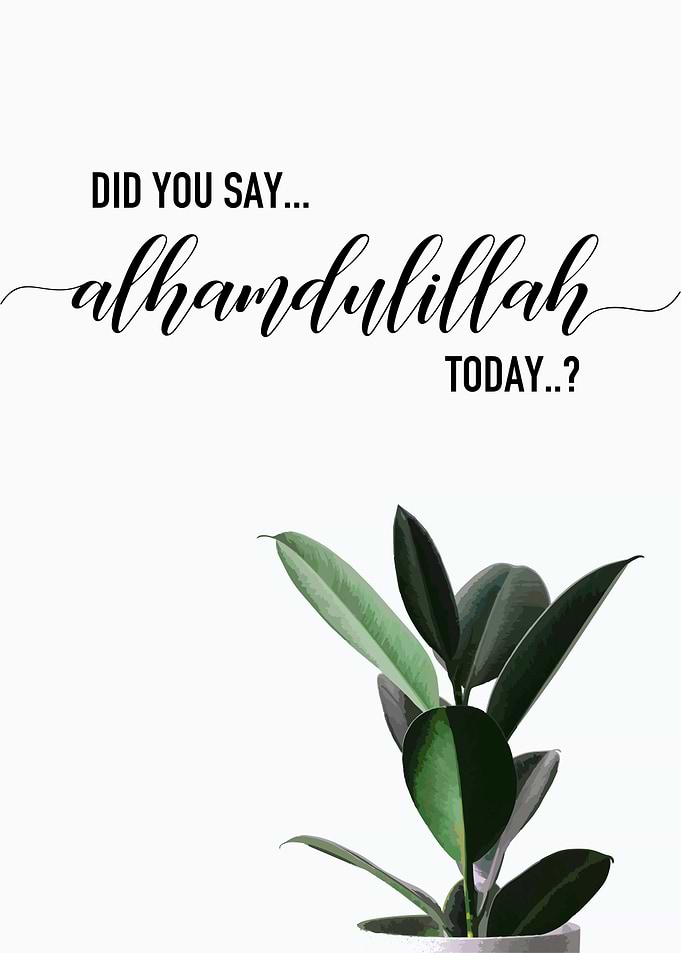 did you say Alhamdulillah