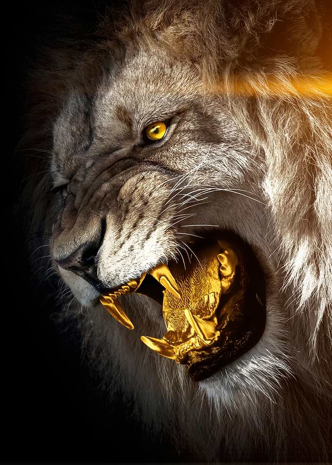 lion king of gold artwork