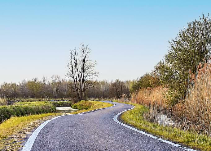 Country road in Lomellina