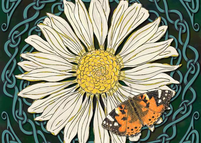 Daisy and Butterfly