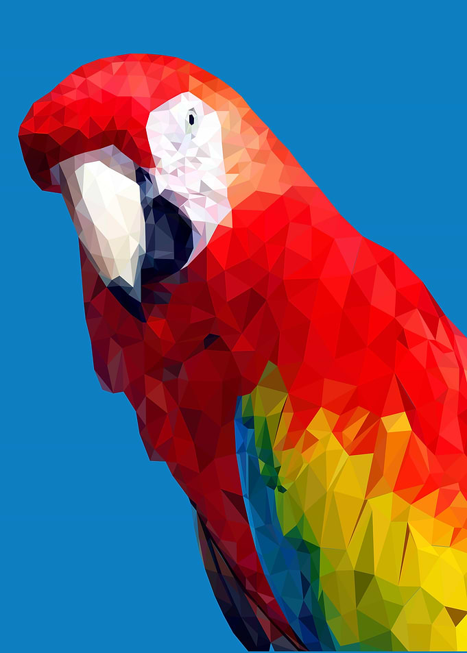 Parrot