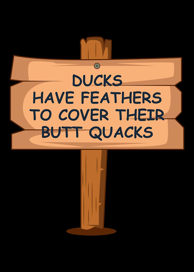 Ducks Have Feathers Comedi