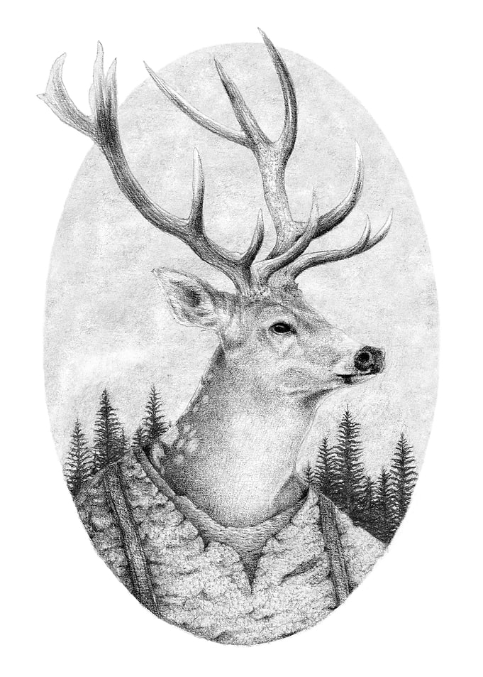 Wanderer II