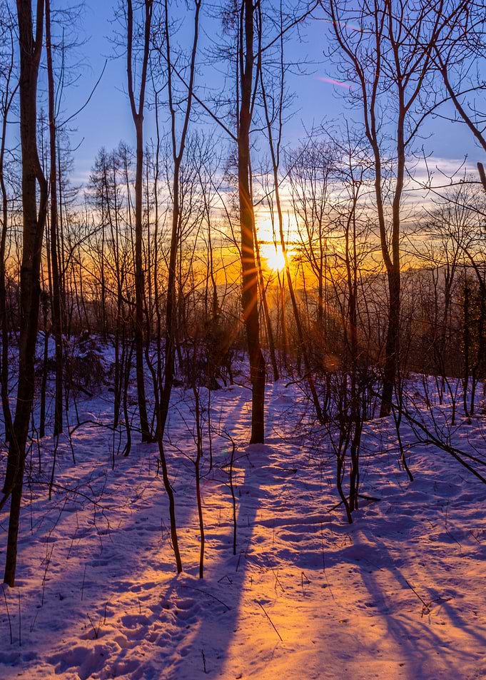 Shadows of the light