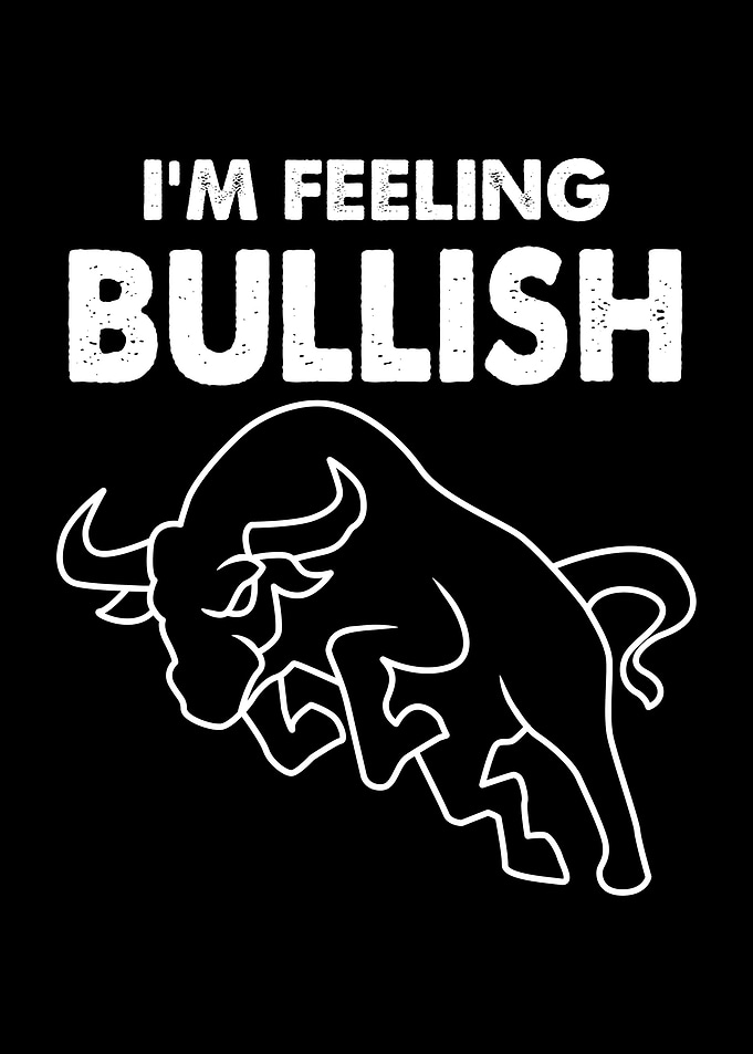 Im Feeling Bullish Bull