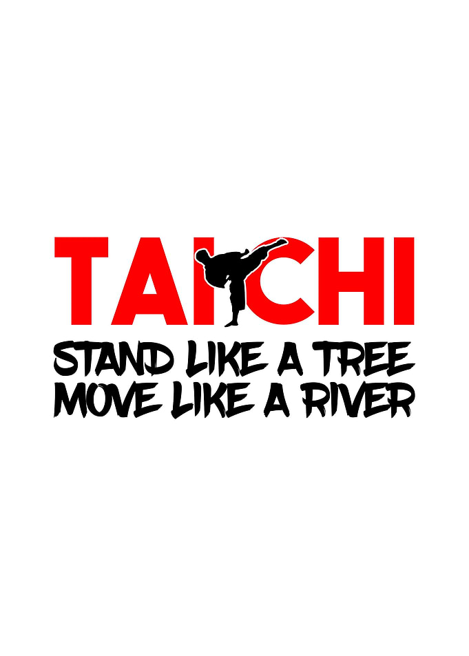 Martial Arts Wall Decor