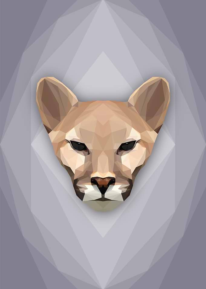Mountain Lion
