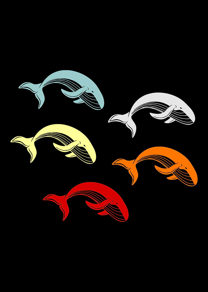 Whale Mammal Sea Gift Idea
