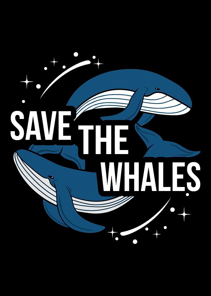 Whale Mammal Sea Gift Idea