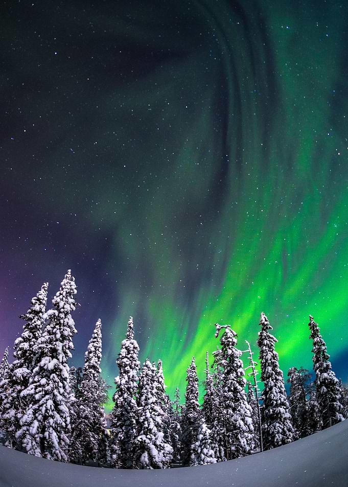The Northern Lights
