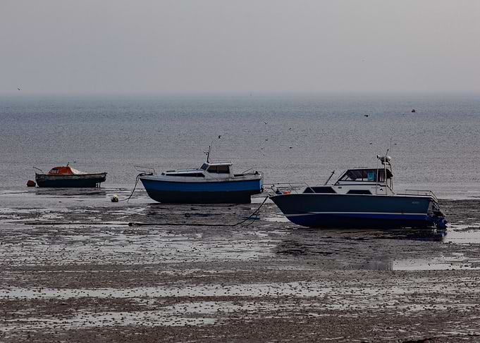 Low Tide abandonment