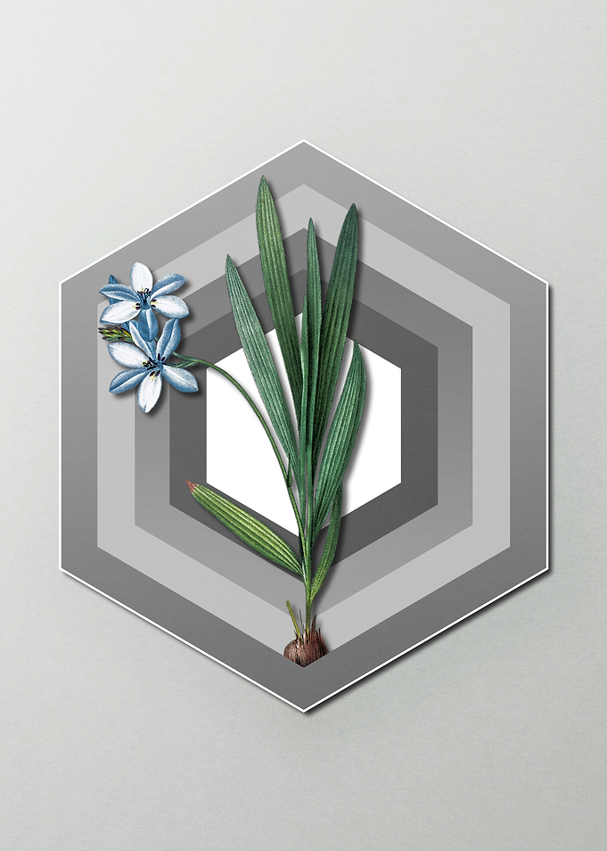 Blue Flower on Pastel