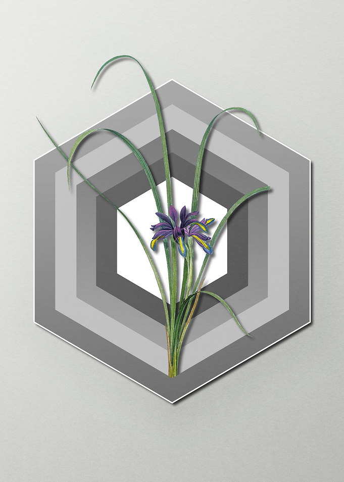 Violet Flower on Pastel