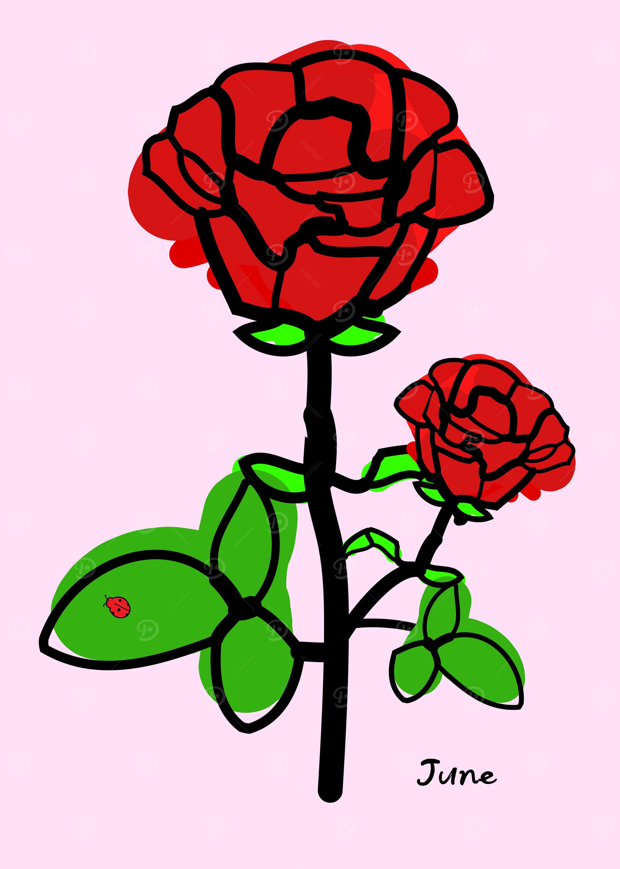 June birth flower
