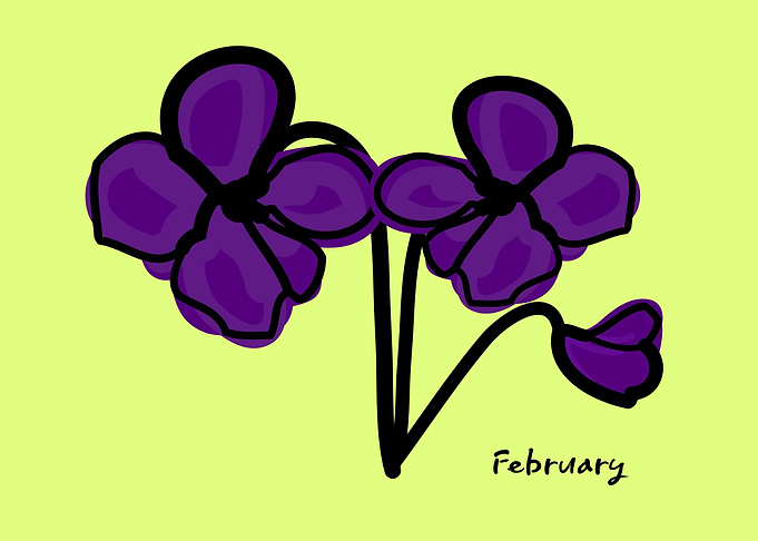 February birth flower