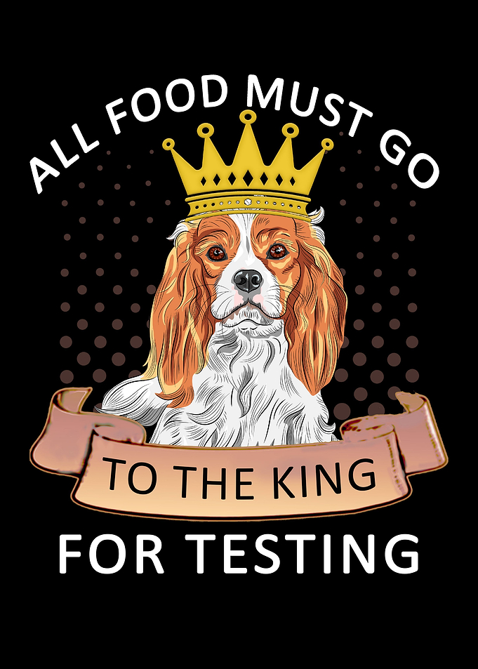 Funny Cavalier King