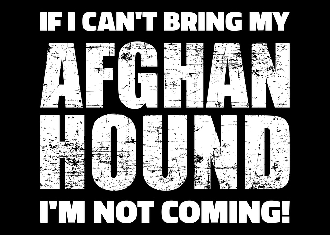 Afghan Hound